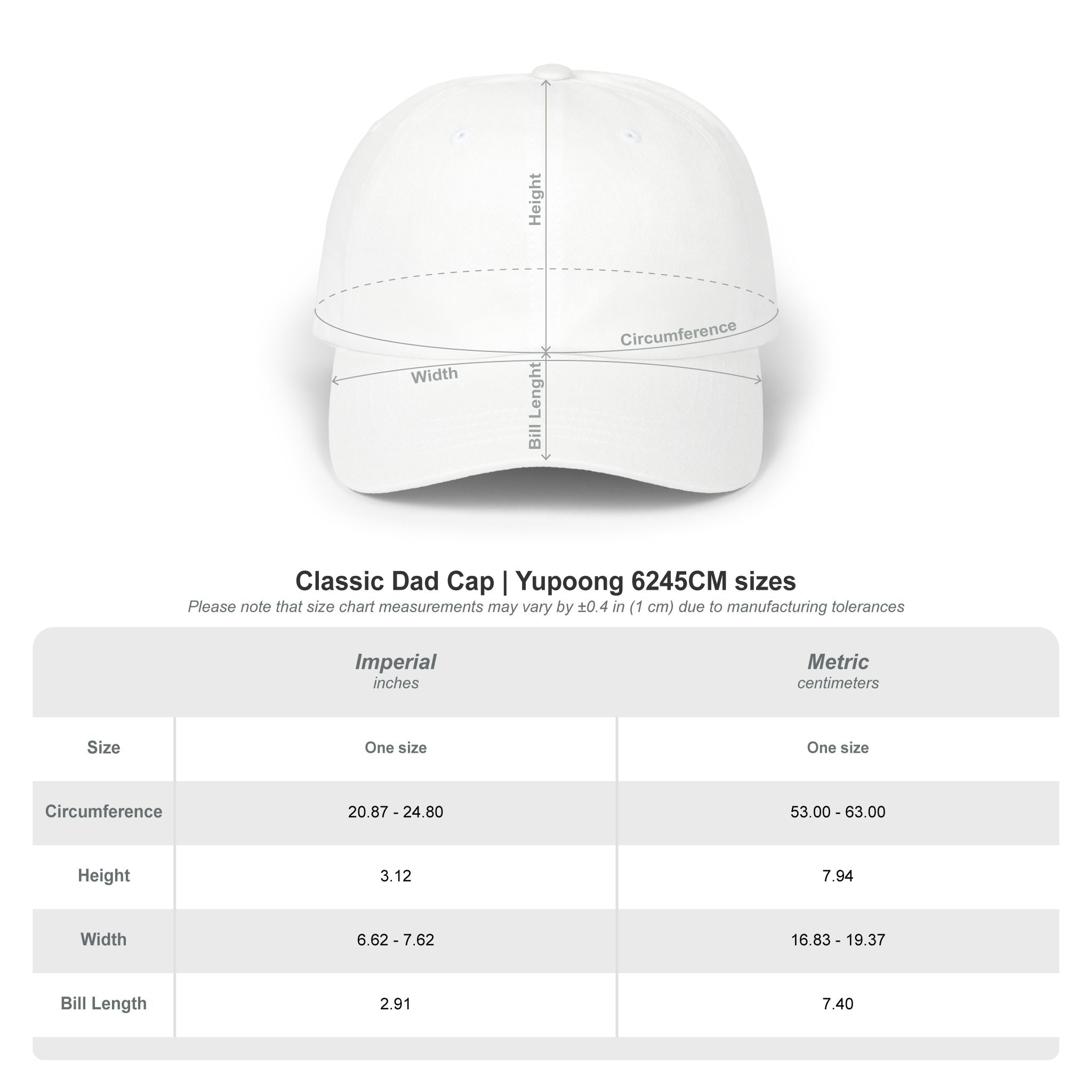 CREATED TO CREATE Embroidered Dad Cap